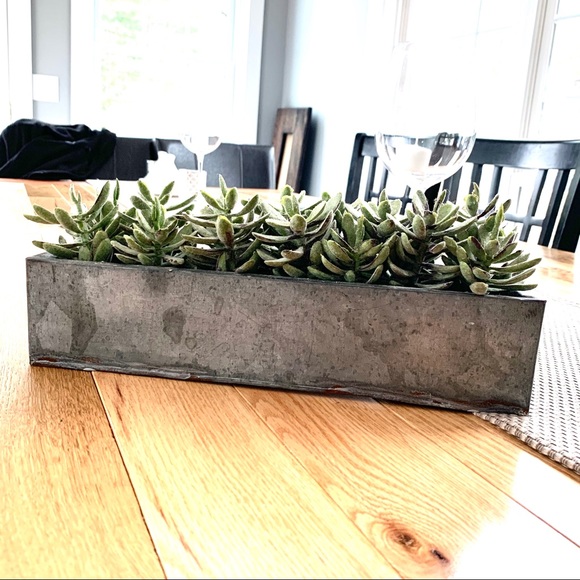 Other - Chic rustic metal box plant